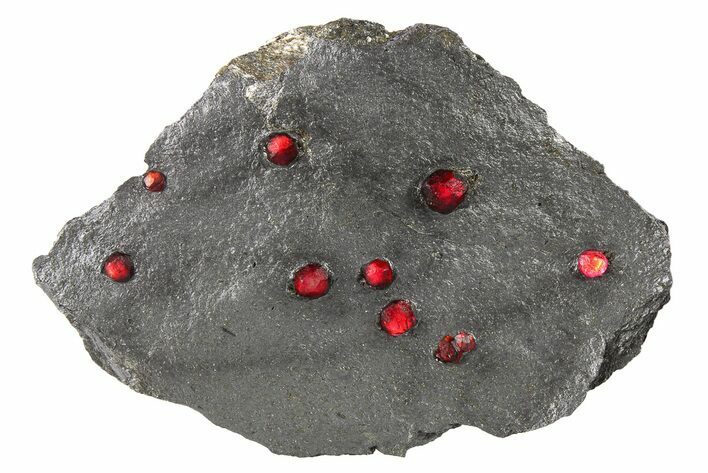 Plate of Nine Red Embers Garnets in Graphite - Massachusetts #272737